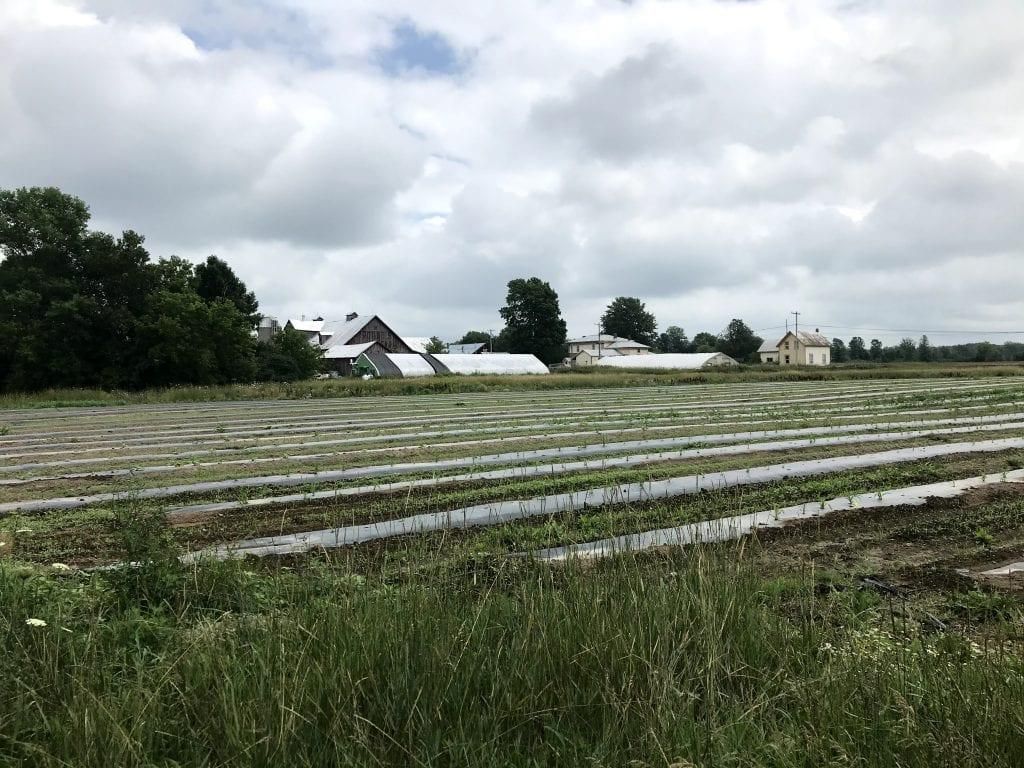 10931 New York 37, Lisbon, NY 13658 LandWatch