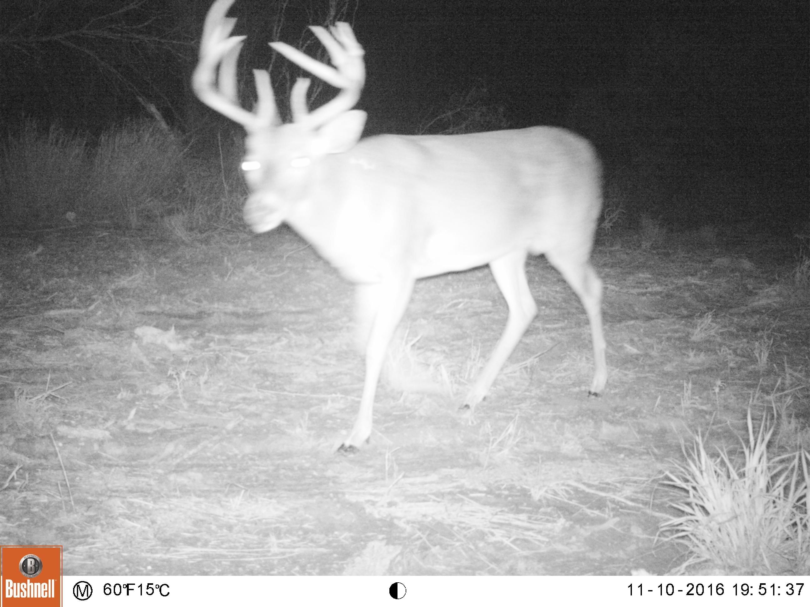 Concepcion, Duval County, TX Farms and Ranches, Recreational Property