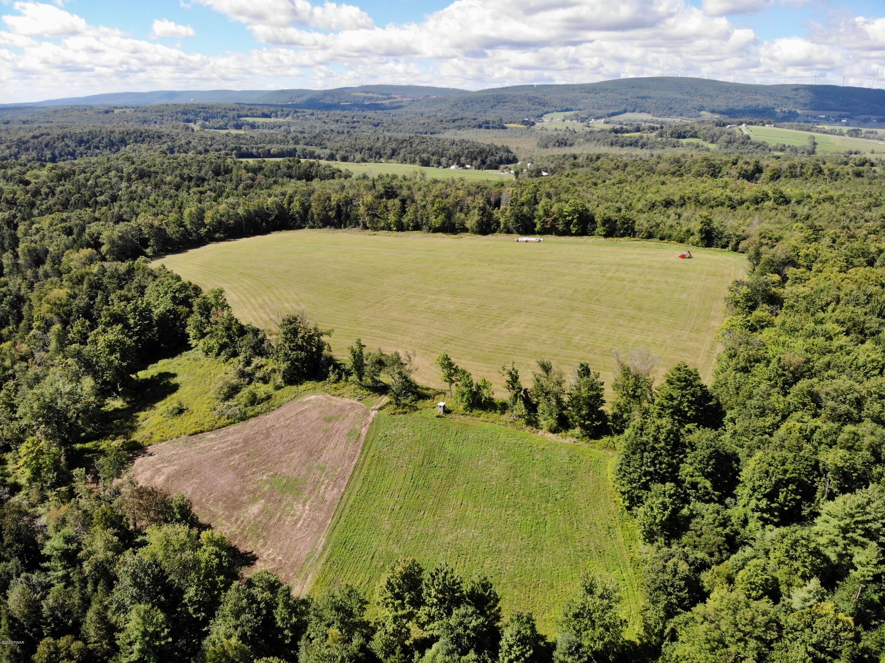 Waymart, Wayne County, PA Undeveloped Land for sale Property ID