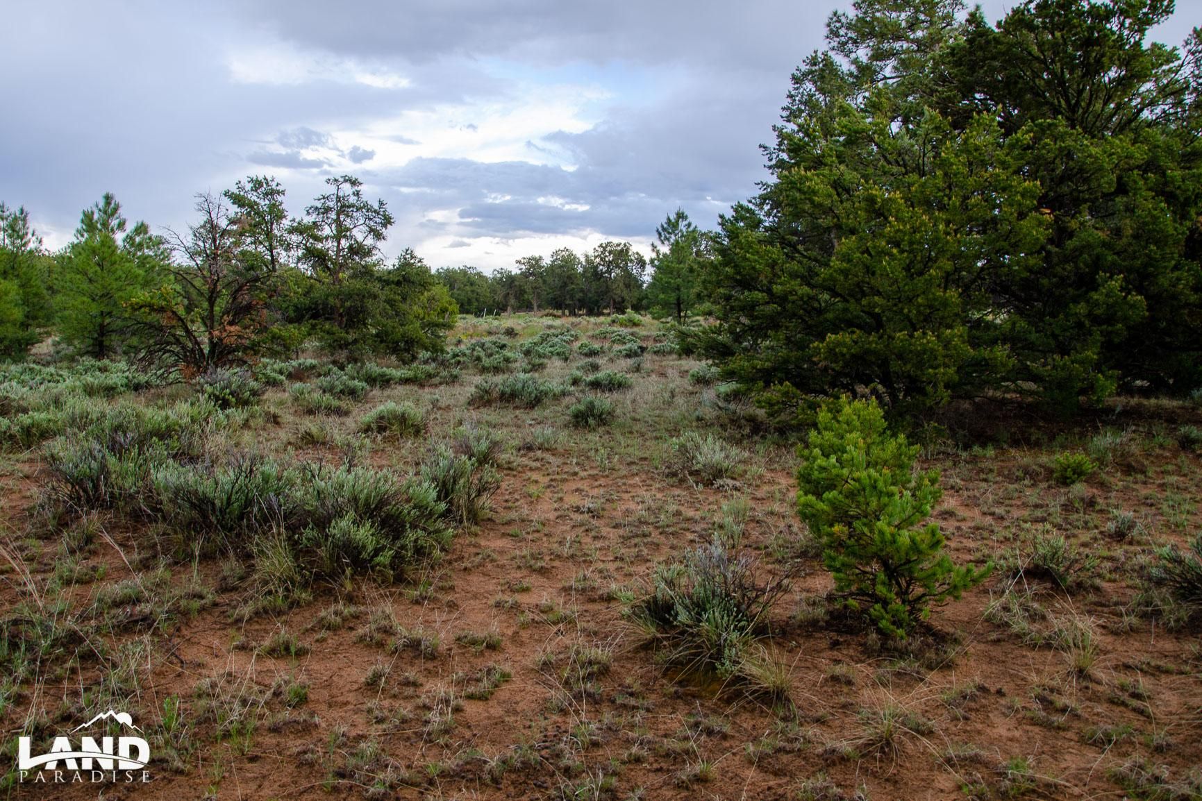 Ramah, Cibola County, NM Recreational Property, Undeveloped Land
