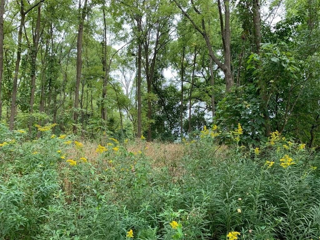 Dansville, Livingston County, NY Undeveloped Land, Homesites for sale