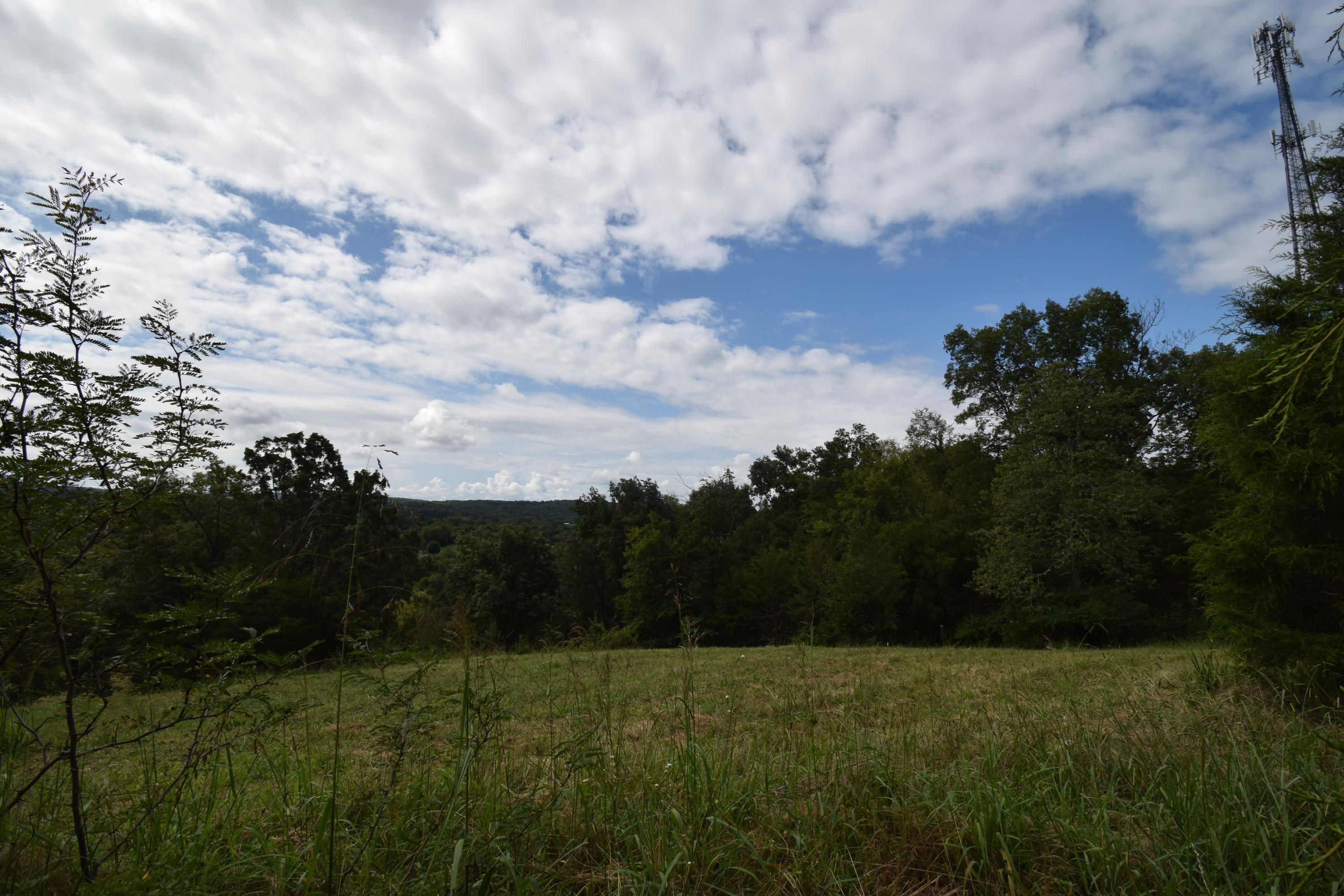 Strawberry Plains, Jefferson County, TN Undeveloped Land for sale