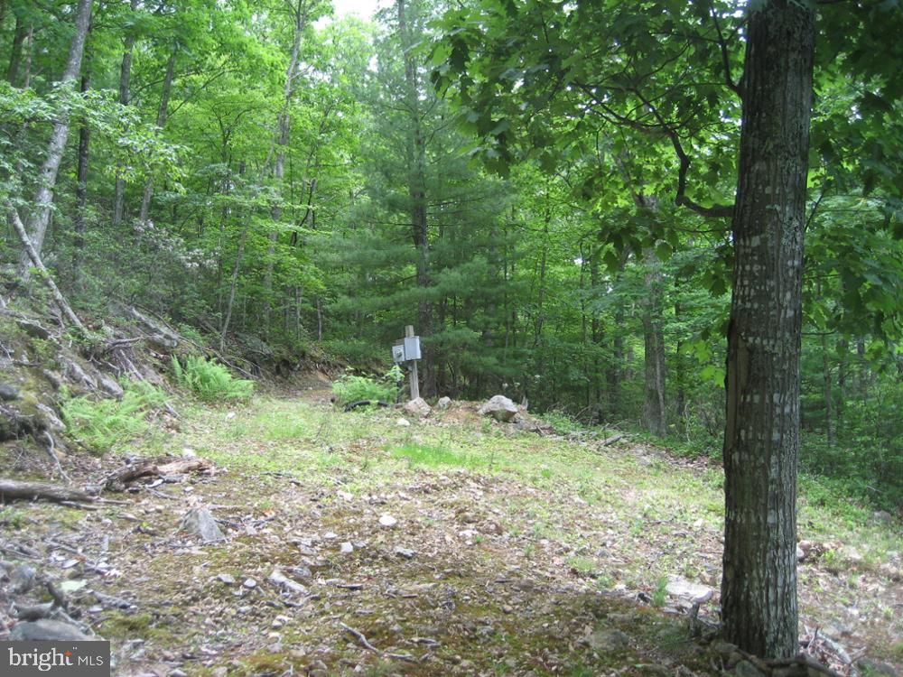 Franklin, Pendleton County, WV Undeveloped Land for sale Property ID