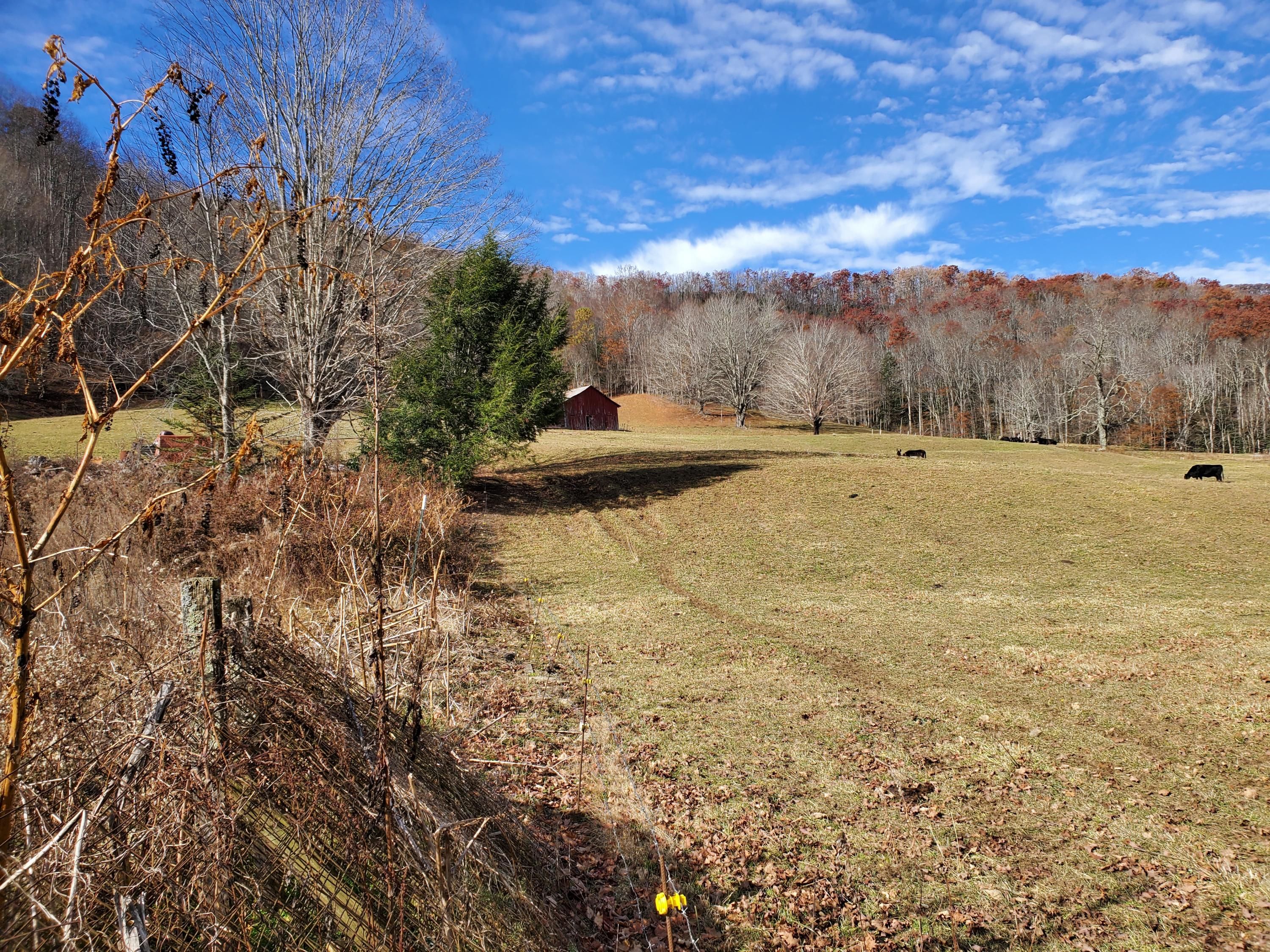 Roan Mountain, Carter County, TN Undeveloped Land for sale Property ID