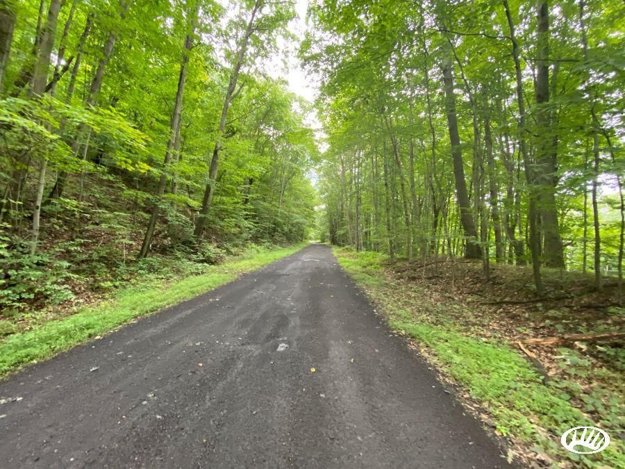 Clifford, Susquehanna County, PA Recreational Property, Timberland