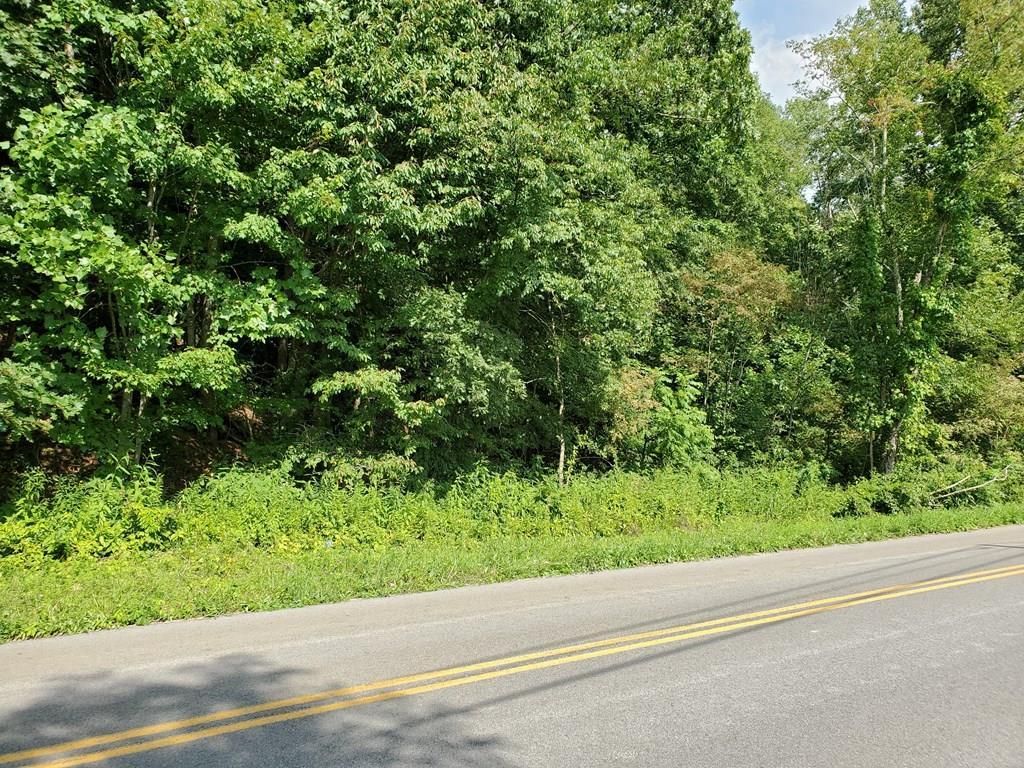 Chilhowie, Smyth County, VA Recreational Property, Hunting Property for