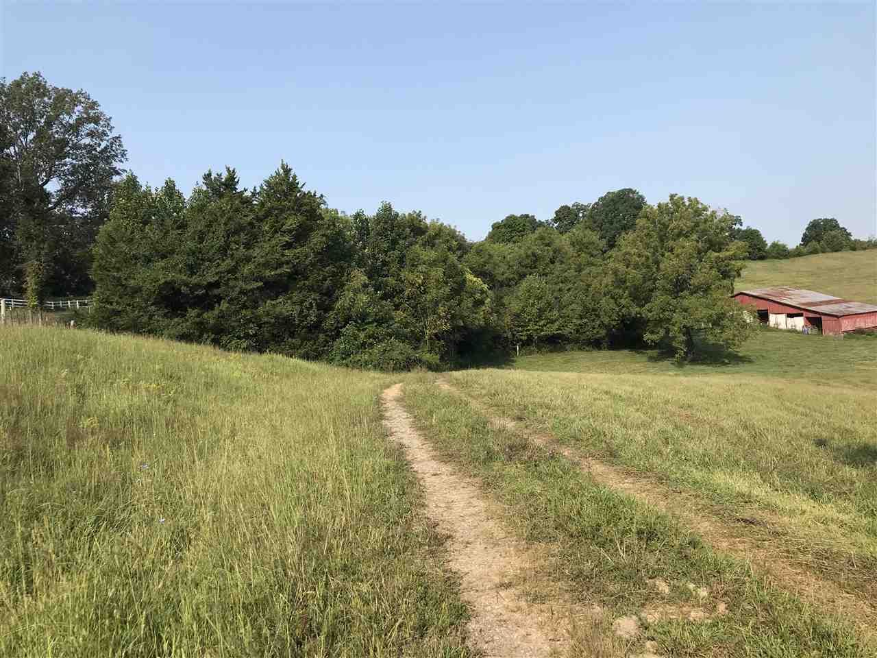 Scottsville, Allen County, KY Undeveloped Land for sale Property ID