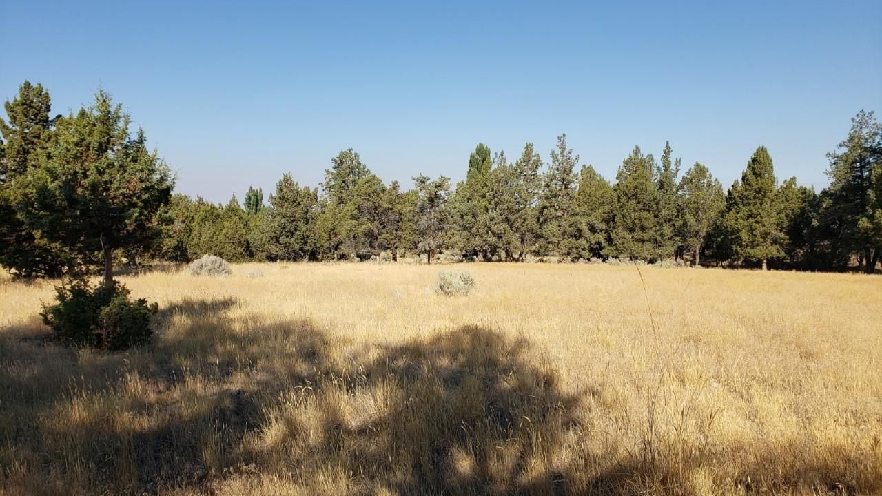 Prineville, Crook County, OR Undeveloped Land for sale Property ID 339099043 LandWatch