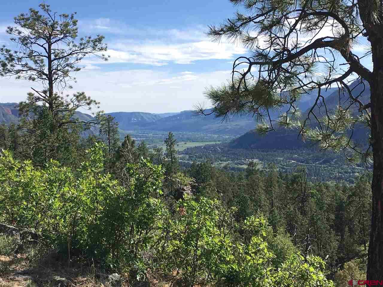 Durango, La Plata County, CO Undeveloped Land, Lakefront Property, Waterfront Property for sale
