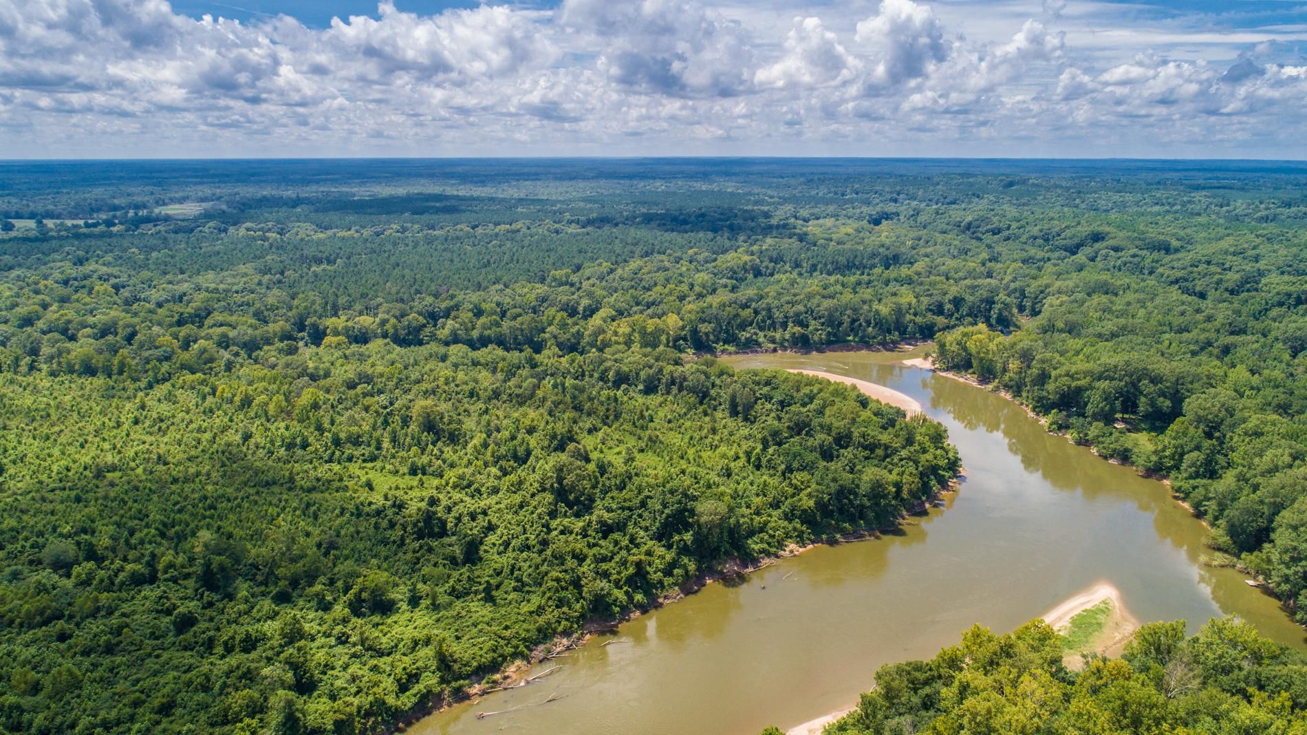 Sparkman, Dallas County, AR Recreational Property, Timberland Property