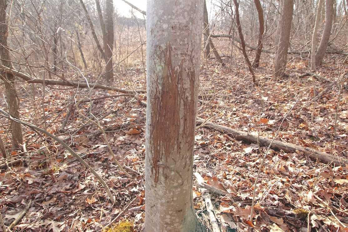 Pleasant City, Guernsey County, OH Recreational Property, Undeveloped