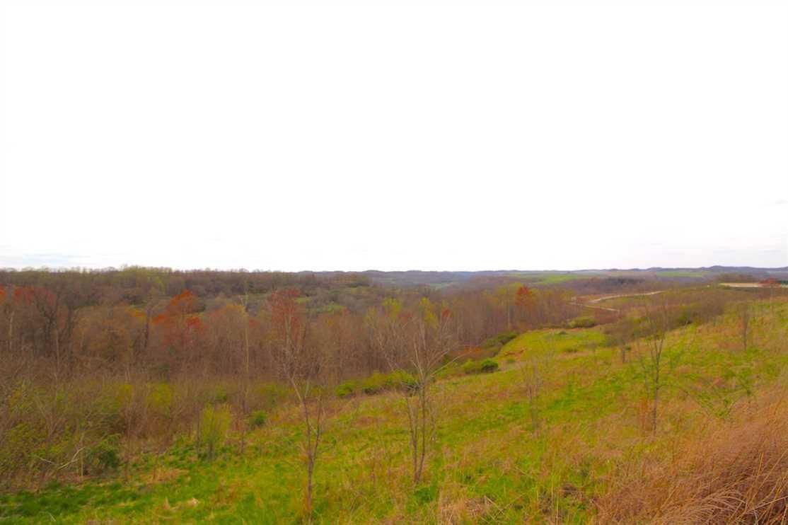 Summerfield, Noble County, OH Recreational Property, Hunting Property