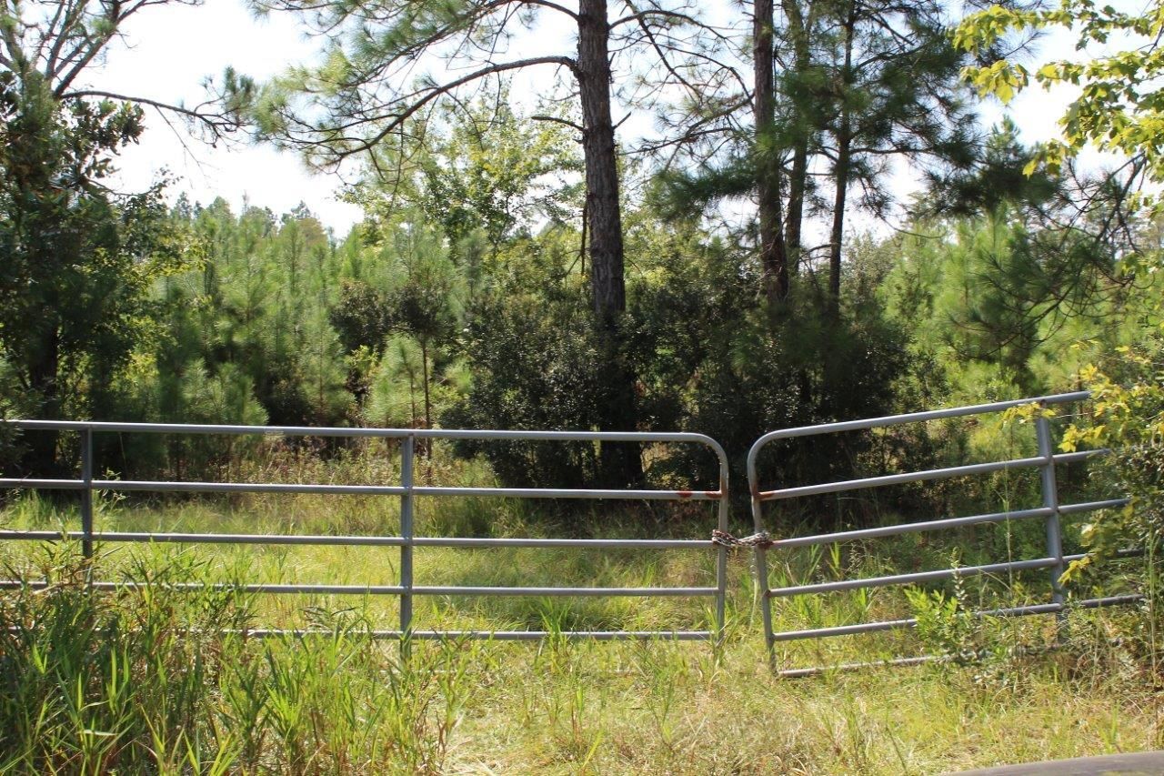 Greenville, Madison County, FL Recreational Property, Timberland