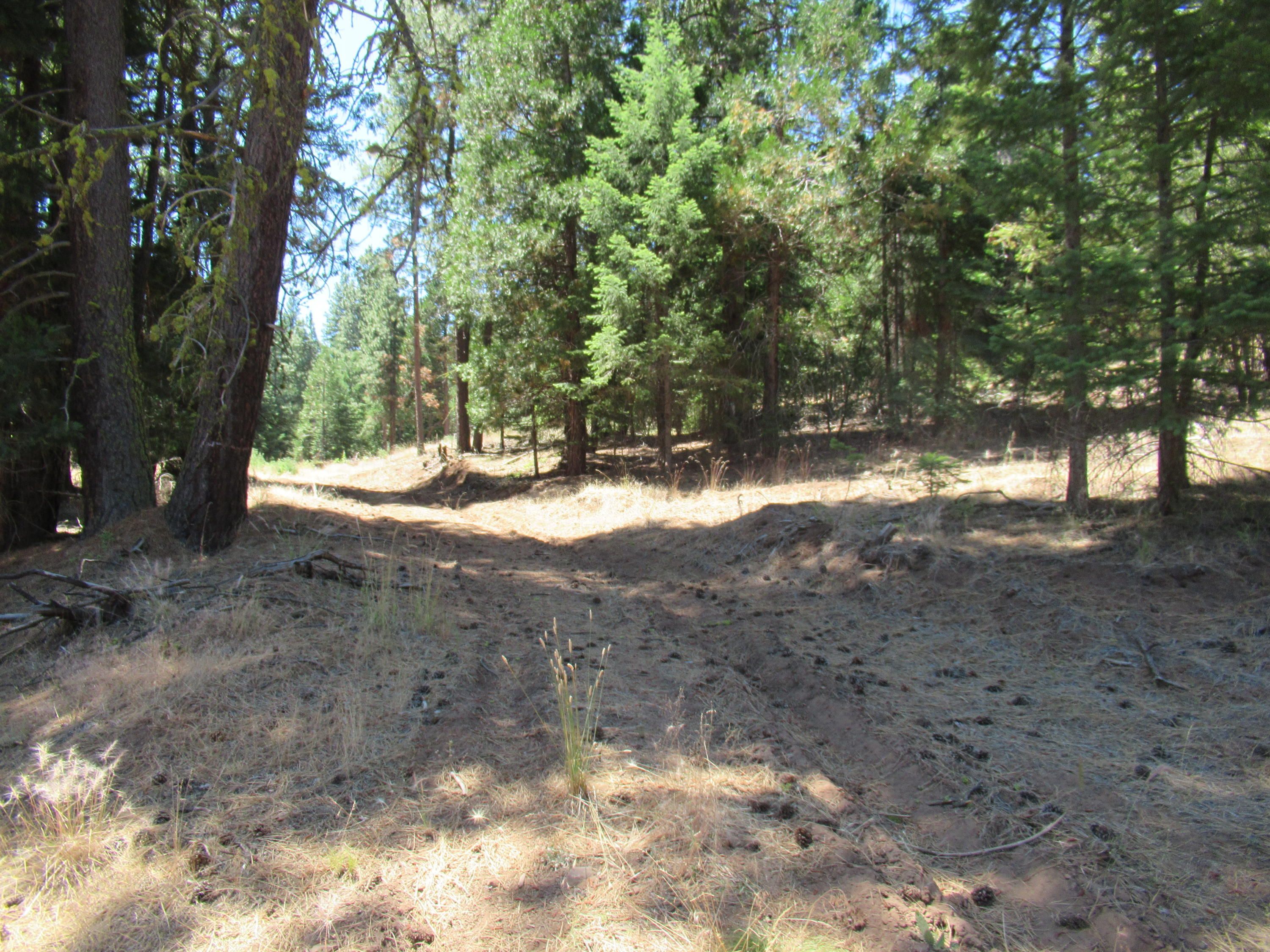 Keno, Klamath County, OR Undeveloped Land for sale Property ID