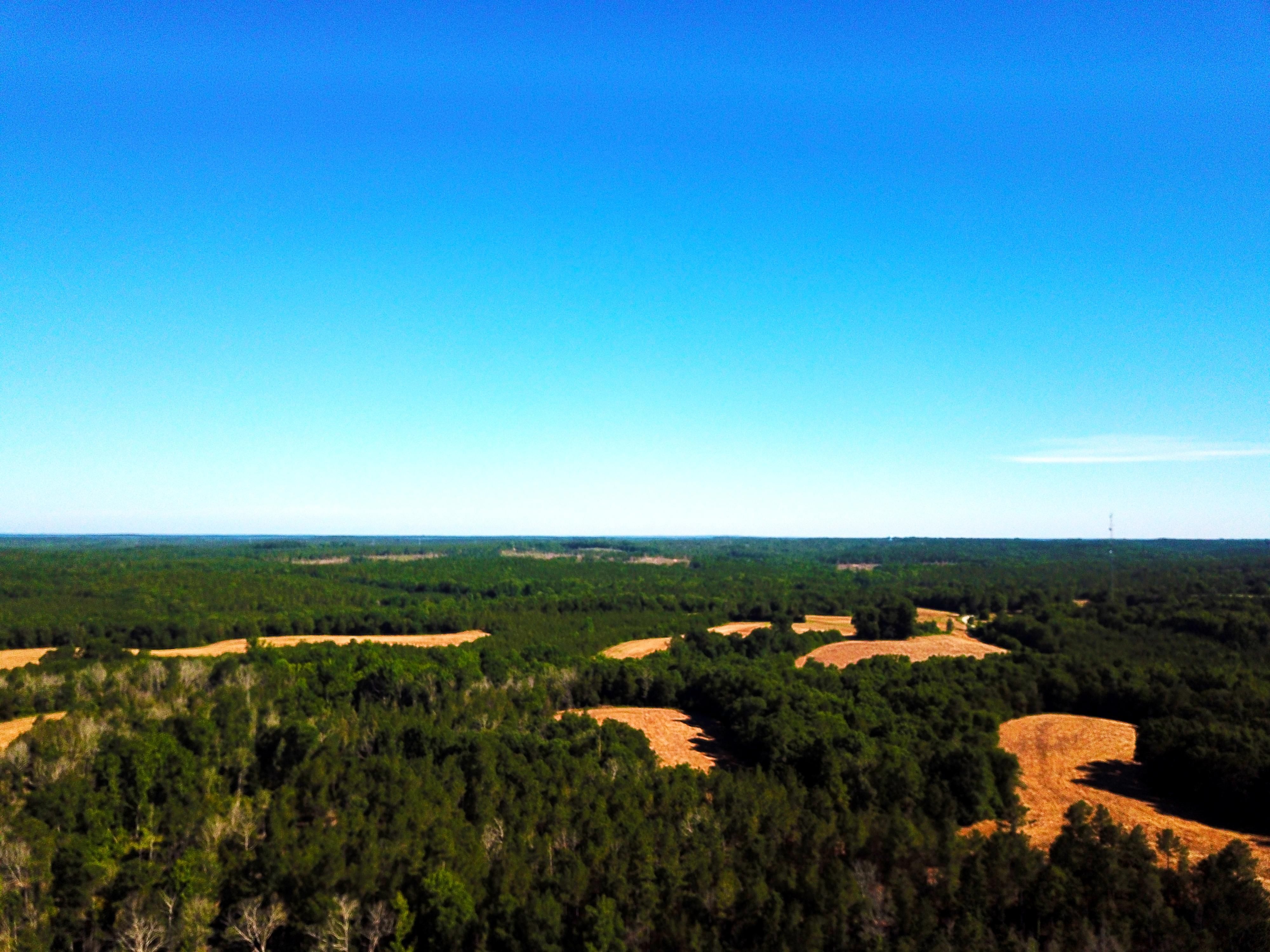 Blair, Fairfield County, SC Recreational Property, Undeveloped Land