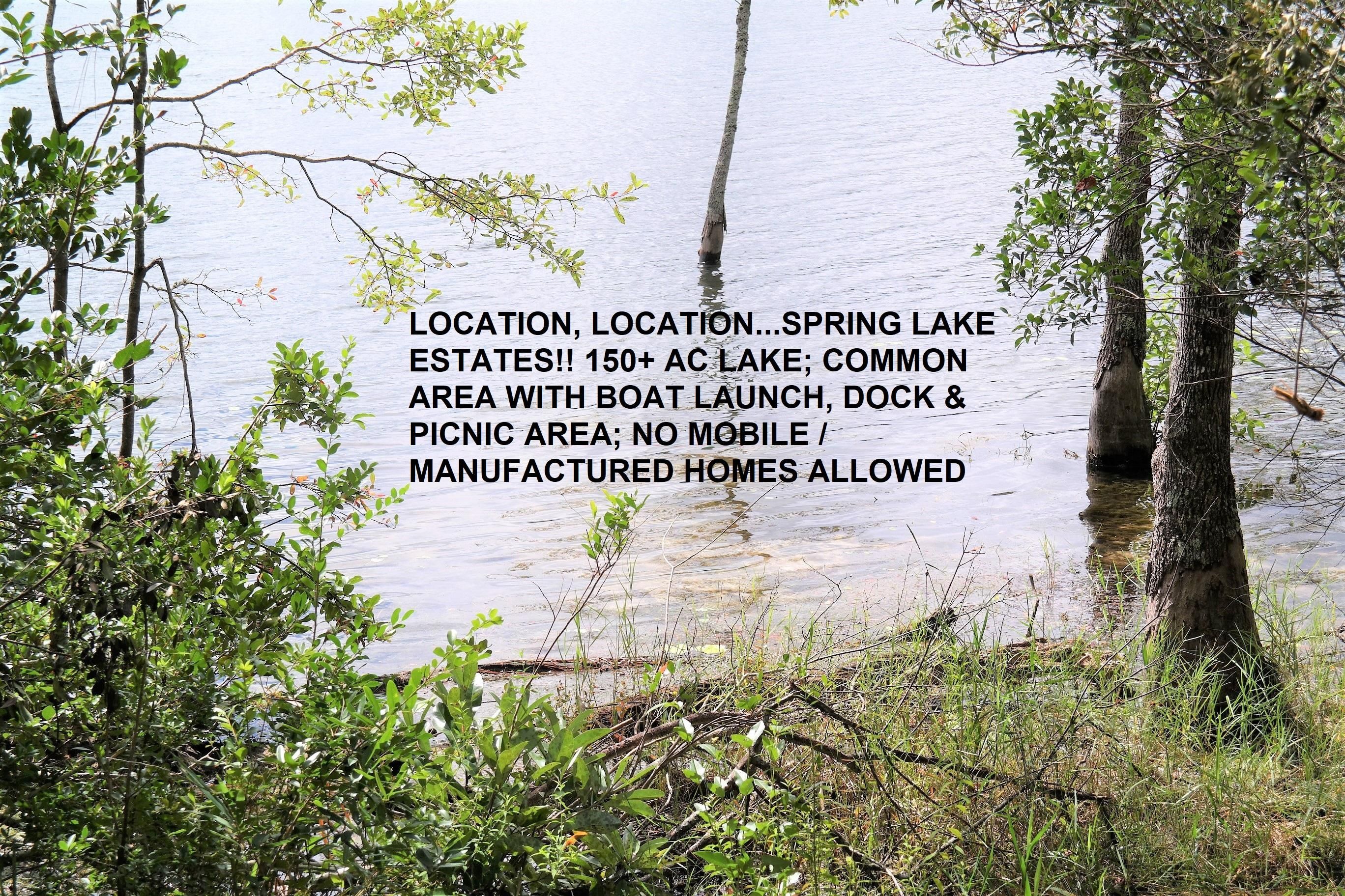 Defuniak Springs, Walton County, FL Undeveloped Land, Lakefront