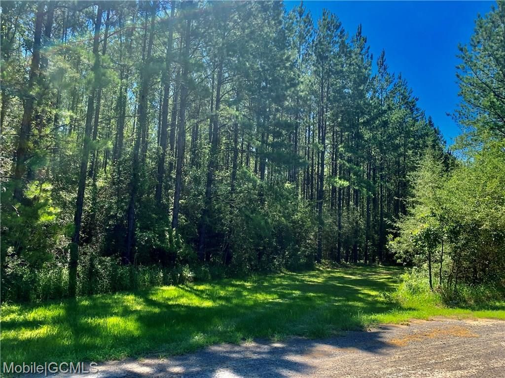 Chunchula, Mobile County, AL Recreational Property, Hunting Property