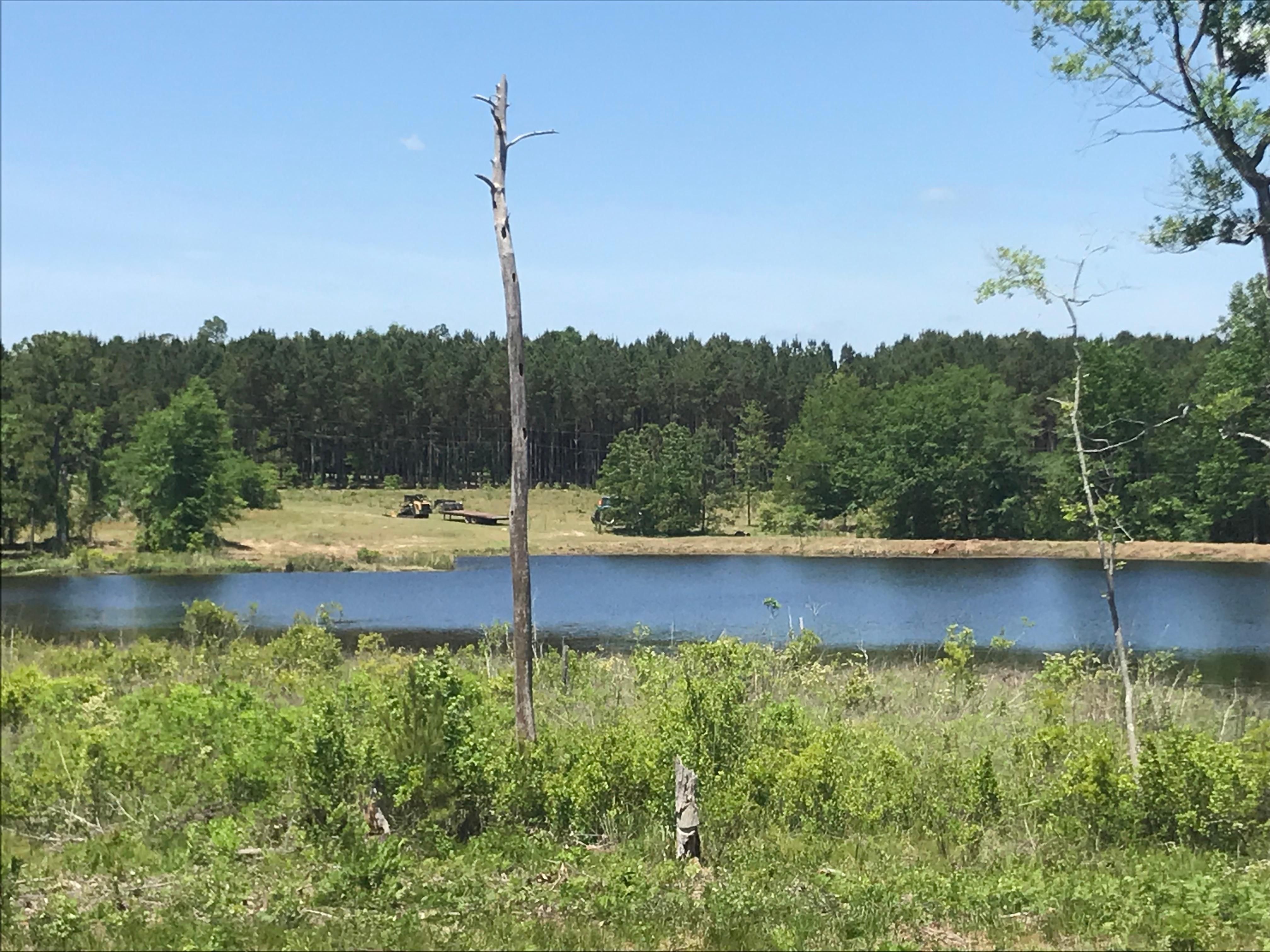Sardis, Burke County, GA Recreational Property, Hunting Property for