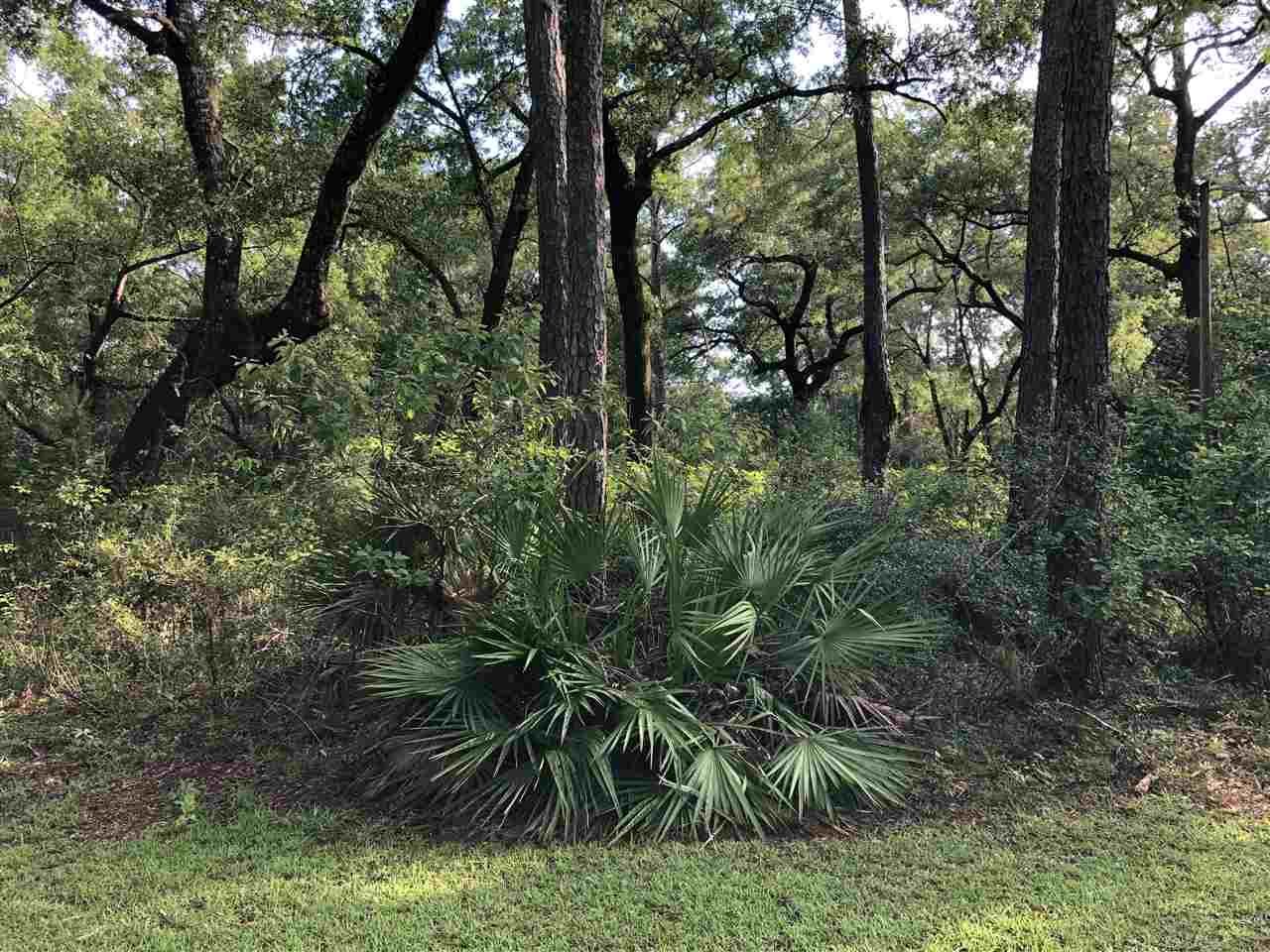 Sopchoppy, Wakulla County, FL Undeveloped Land, Homesites for sale