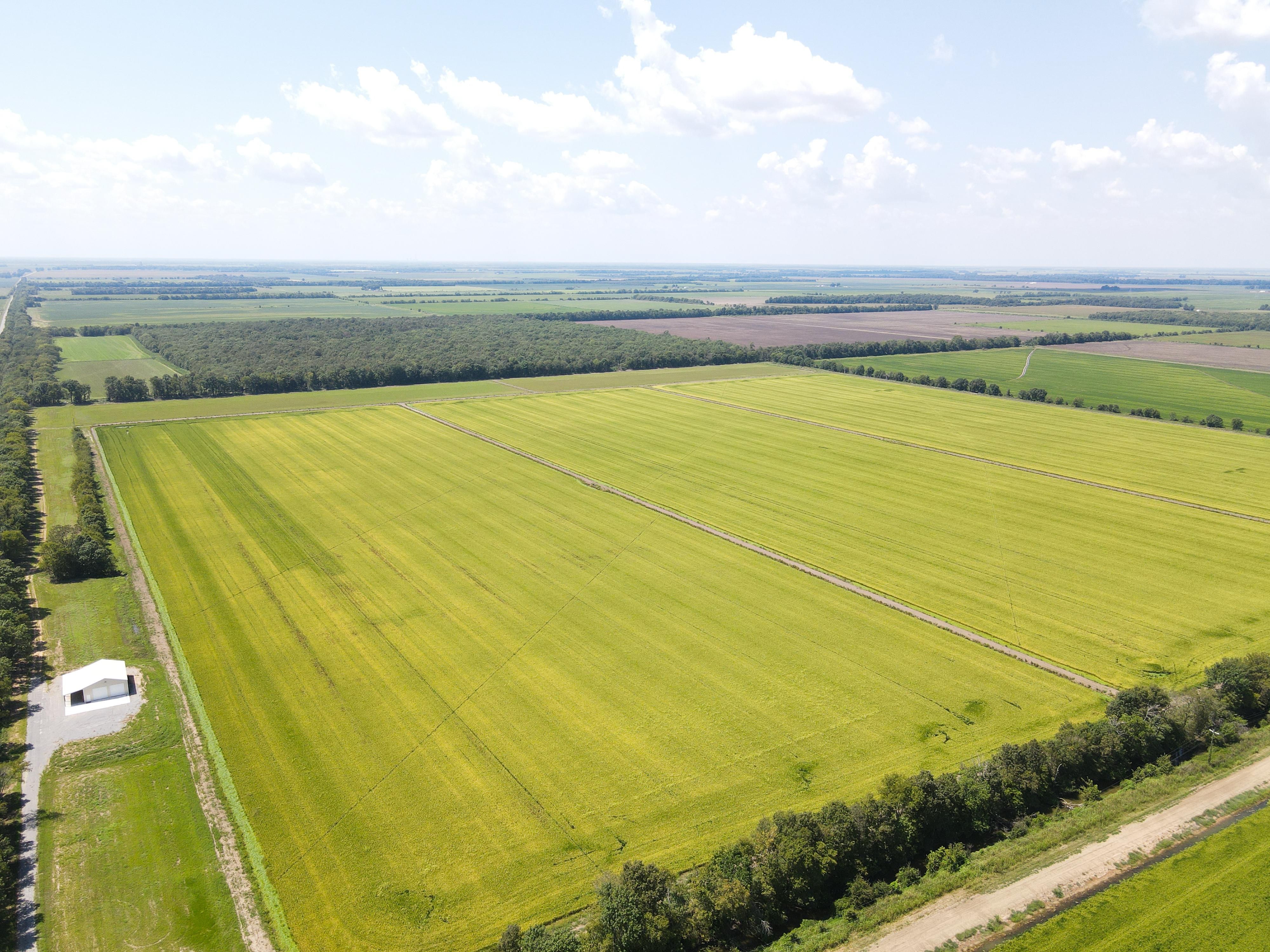 Wabbaseka, Jefferson County, AR Farms and Ranches, Recreational