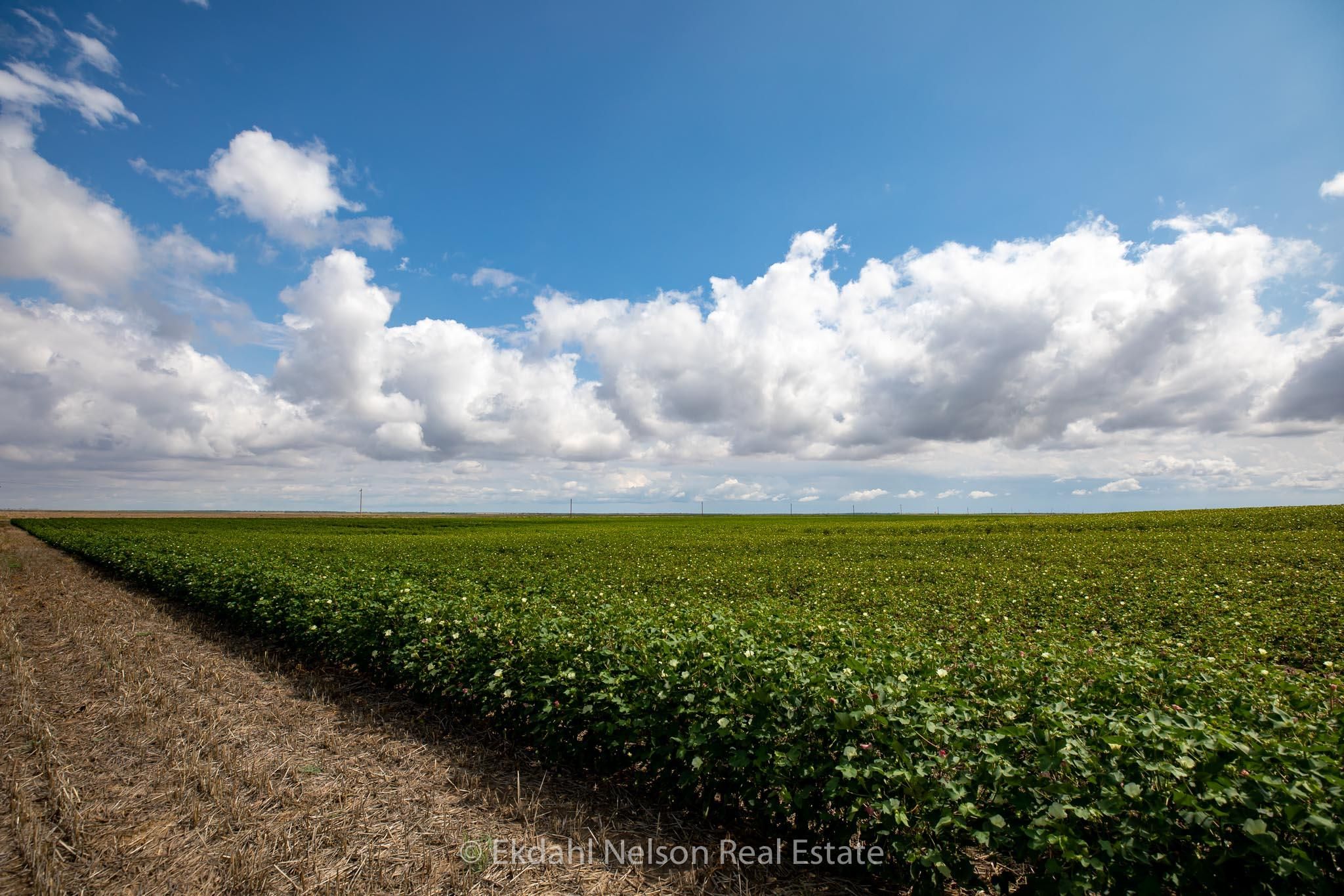 Haskell, Haskell County, TX Farms and Ranches, Recreational Property