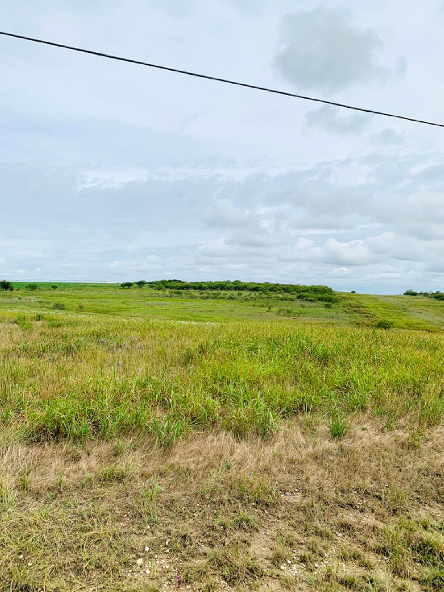 Comanche, Comanche County, TX Farms and Ranches, Undeveloped Land for