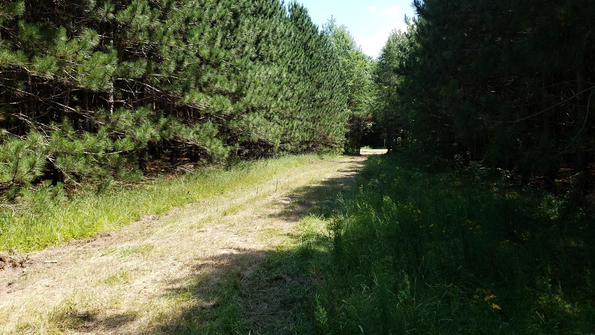 Crivitz, County, WI Recreational Property, Timberland