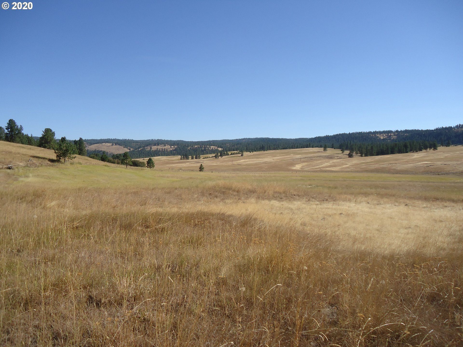 Wallowa, Wallowa County, OR Farms and Ranches for sale Property ID