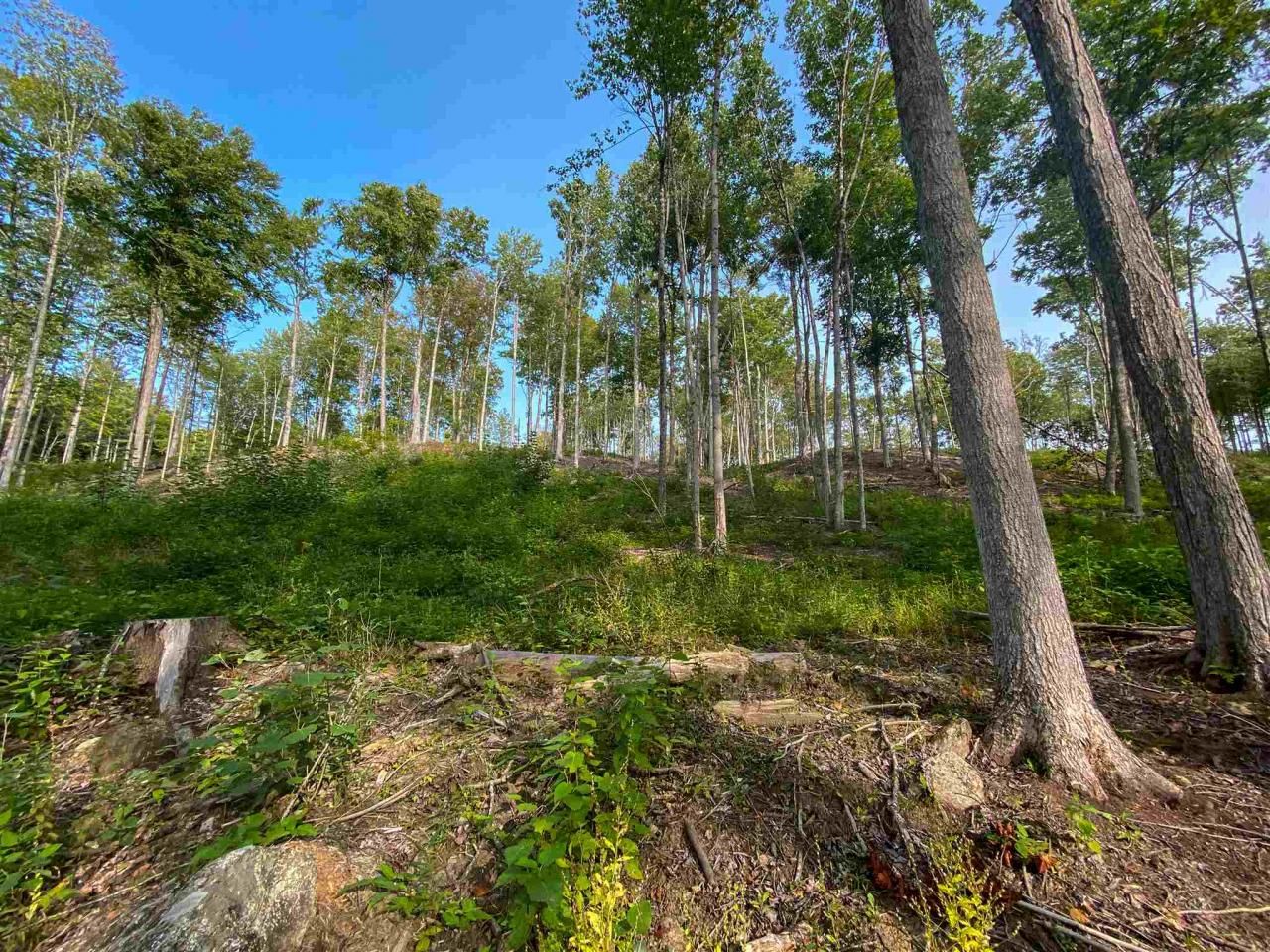 Alstead, Cheshire County, NH Undeveloped Land for sale Property ID