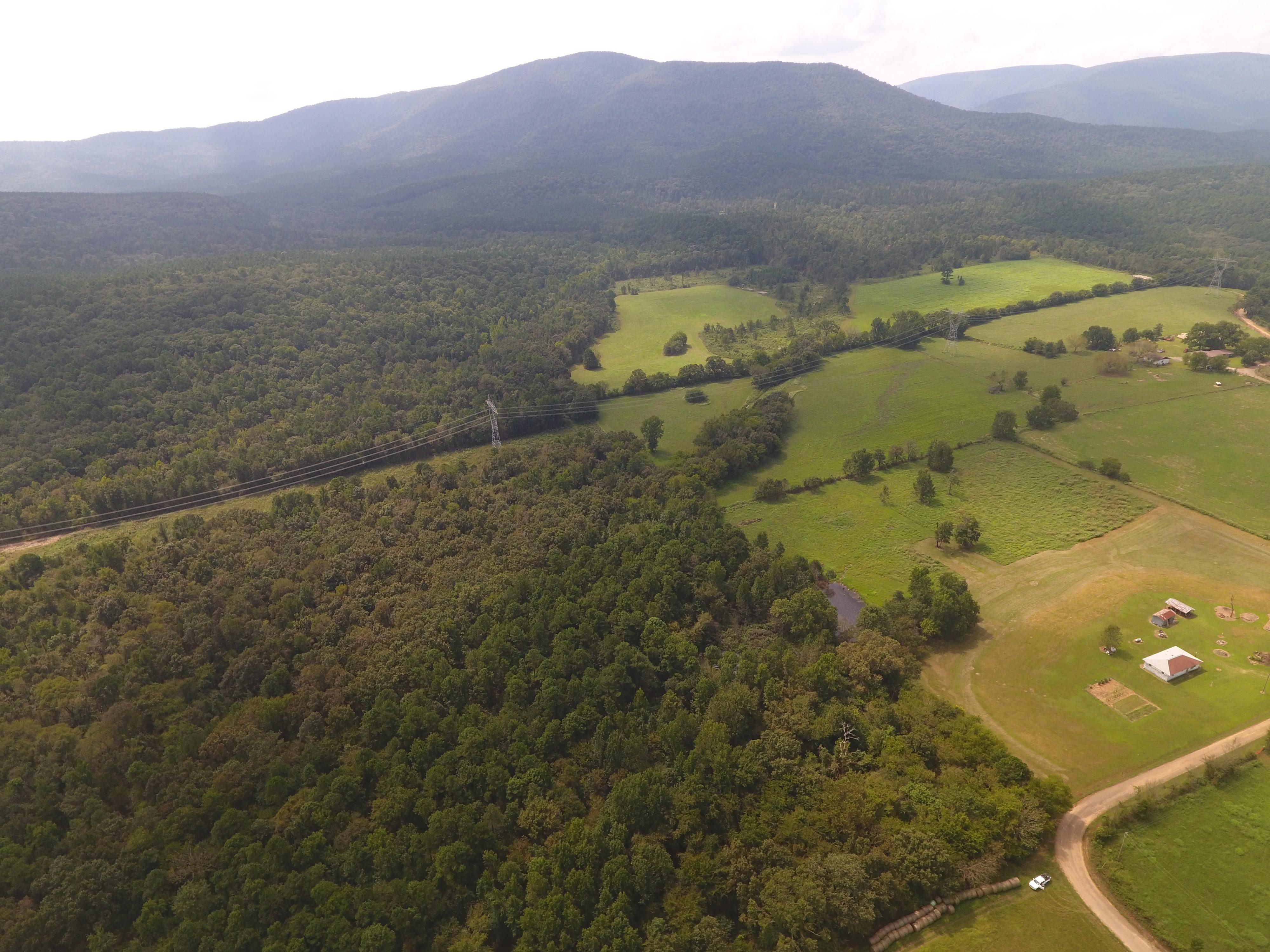 Waveland, Yell County, AR Timberland Property for sale Property ID