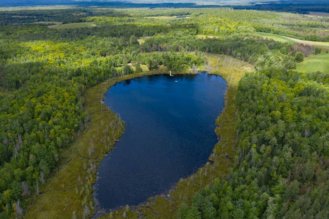 High Bridge, Ashland County, WI Timberland Property, Hunting Property