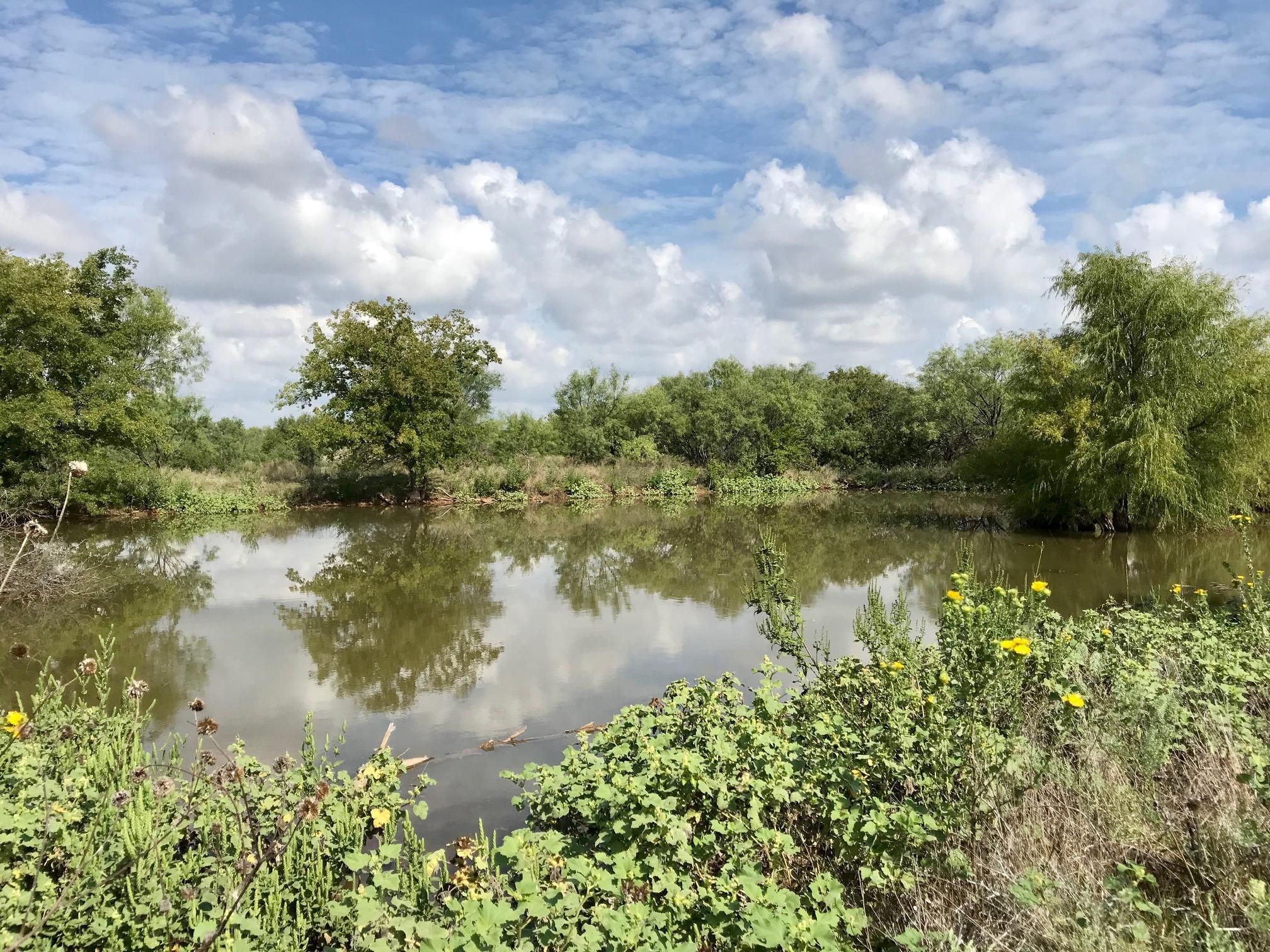 Cross Plains, Callahan County, TX Farms and Ranches, Recreational Property, Hunting Property for