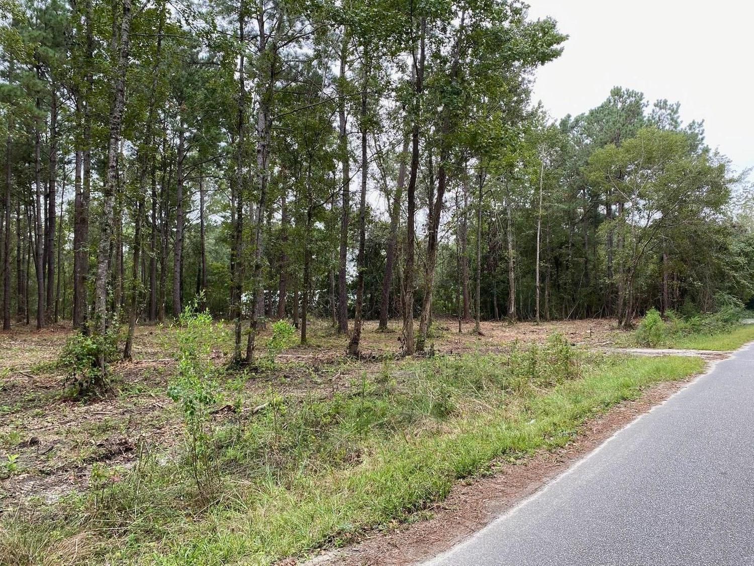 Awendaw, Charleston County, SC Undeveloped Land, Homesites for sale