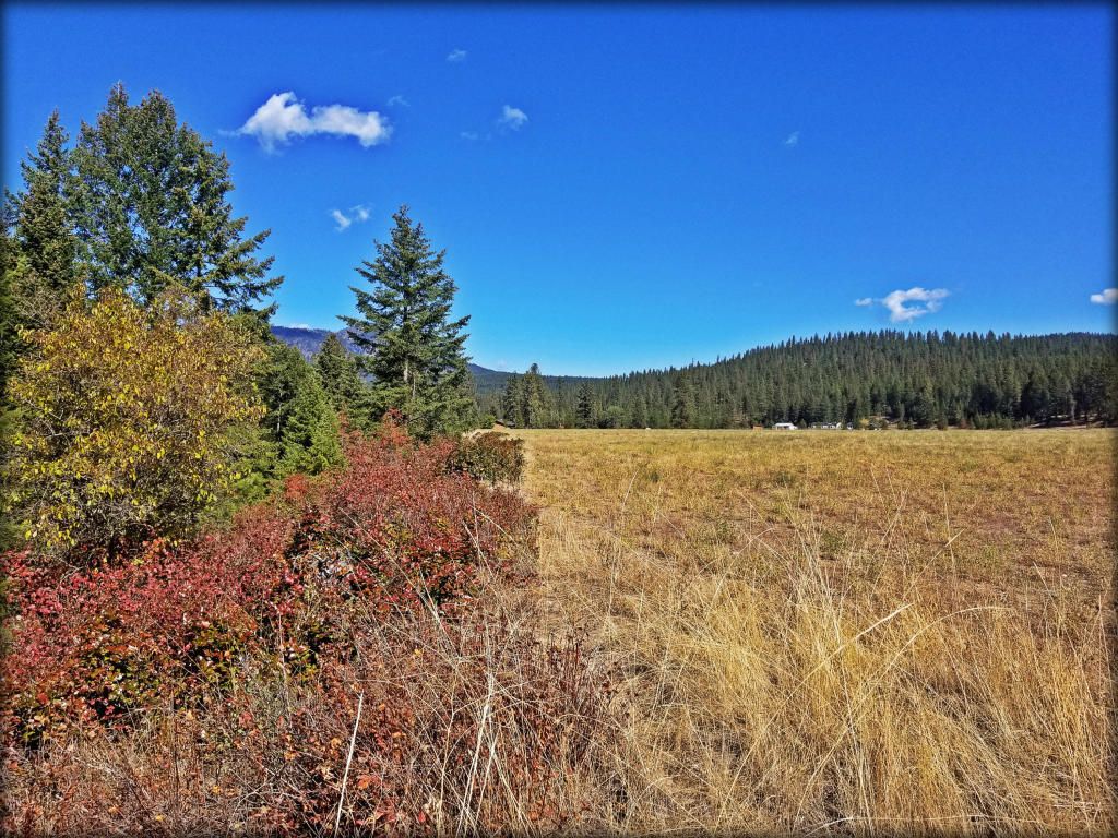 Colville, Stevens County, WA Undeveloped Land for sale Property ID
