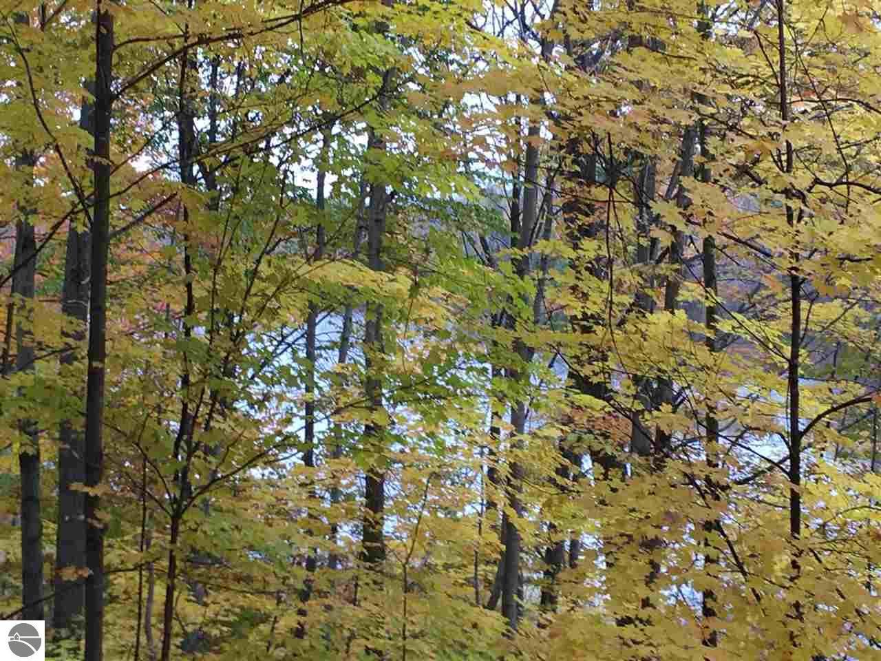 Lake Ann, Benzie County, MI Undeveloped Land, Lakefront Property