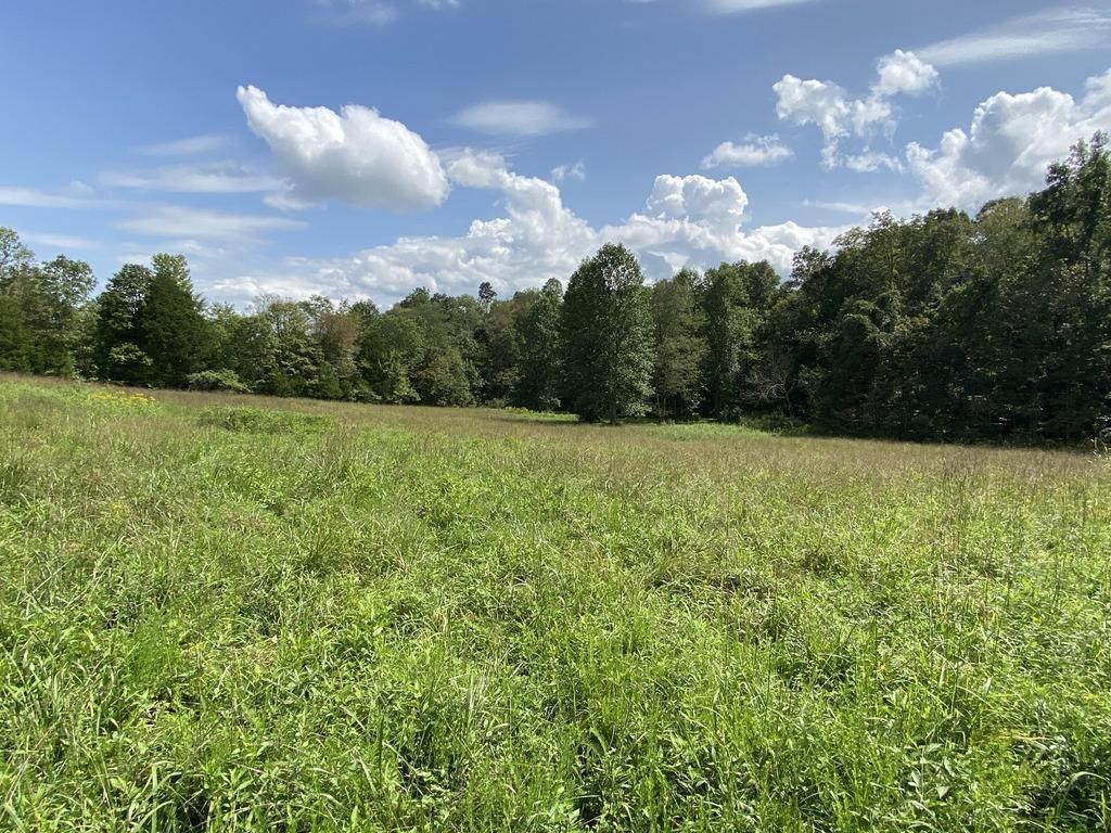 Edmonton, Metcalfe County, KY Farms and Ranches, Recreational Property