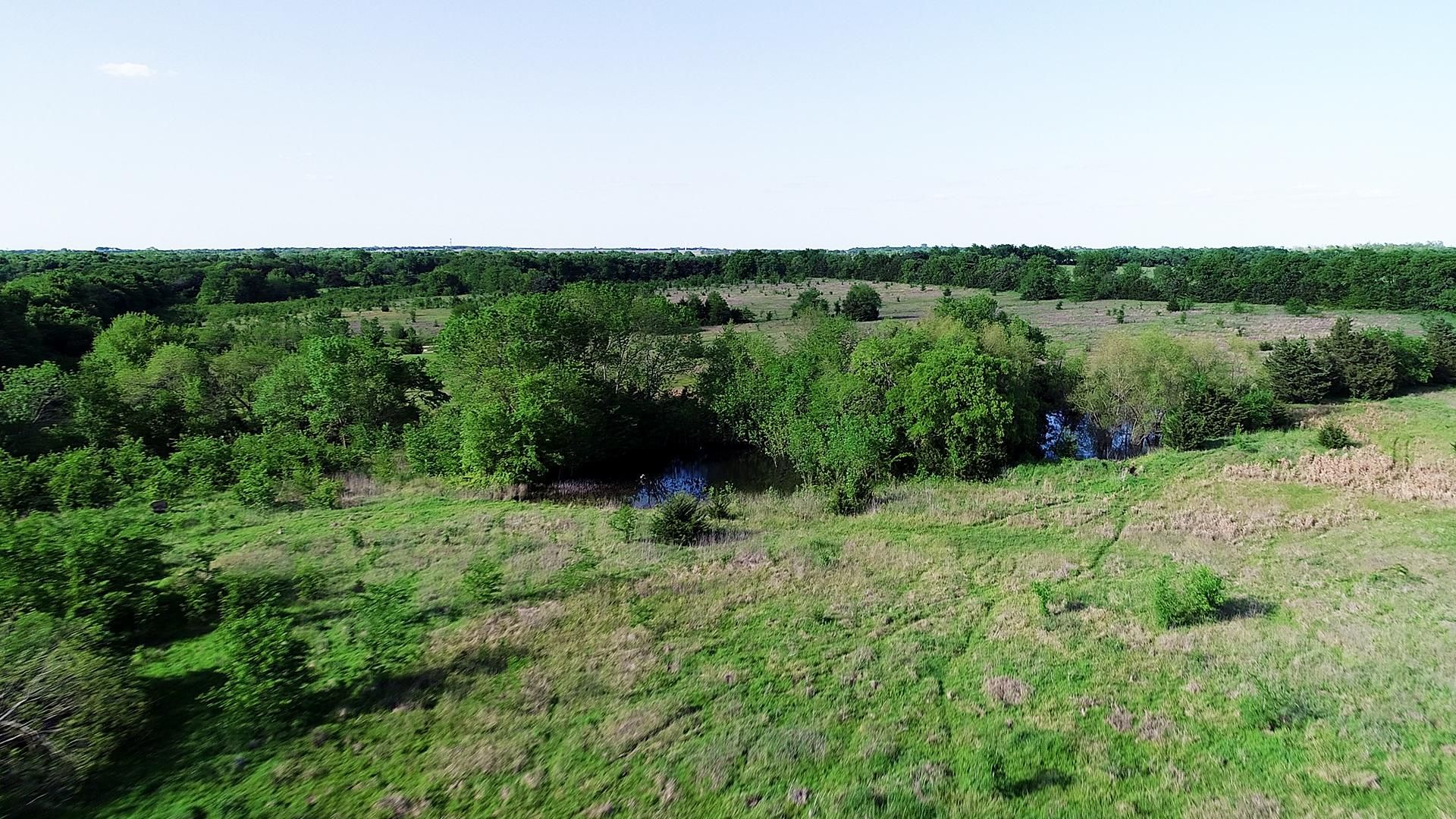 Petty, Lamar County, TX Farms and Ranches, Recreational Property, Horse