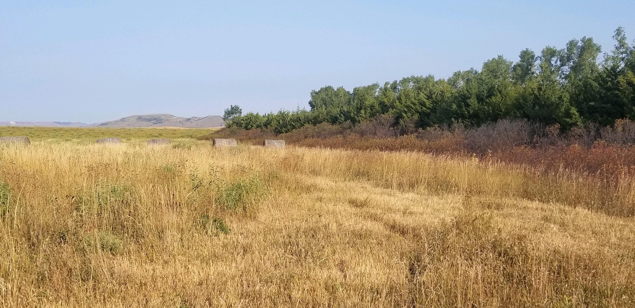 Gregory, Gregory County, SD Farms and Ranches, Hunting Property for