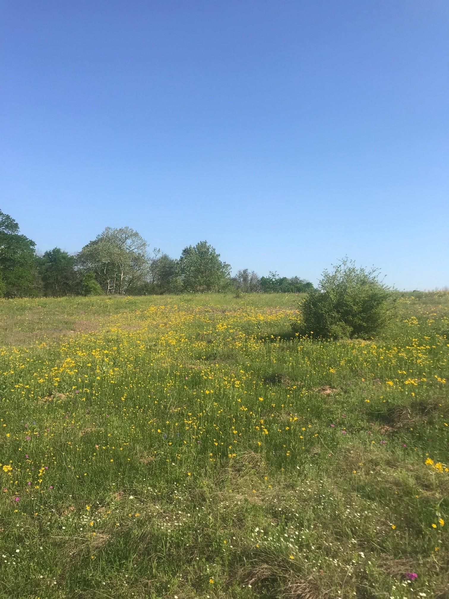 Beasley, Fort Bend County, TX Farms and Ranches, Recreational Property