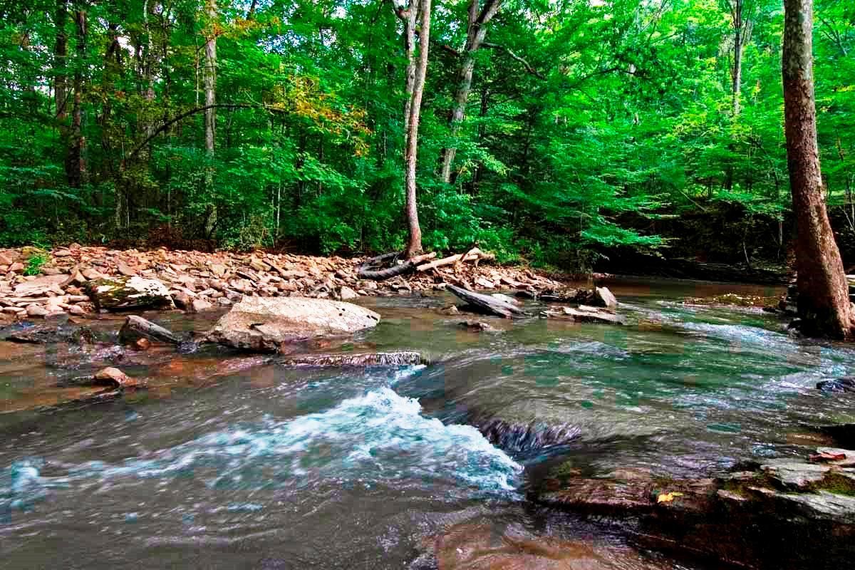 Alderson, Summers County, WV Recreational Property, Timberland Property