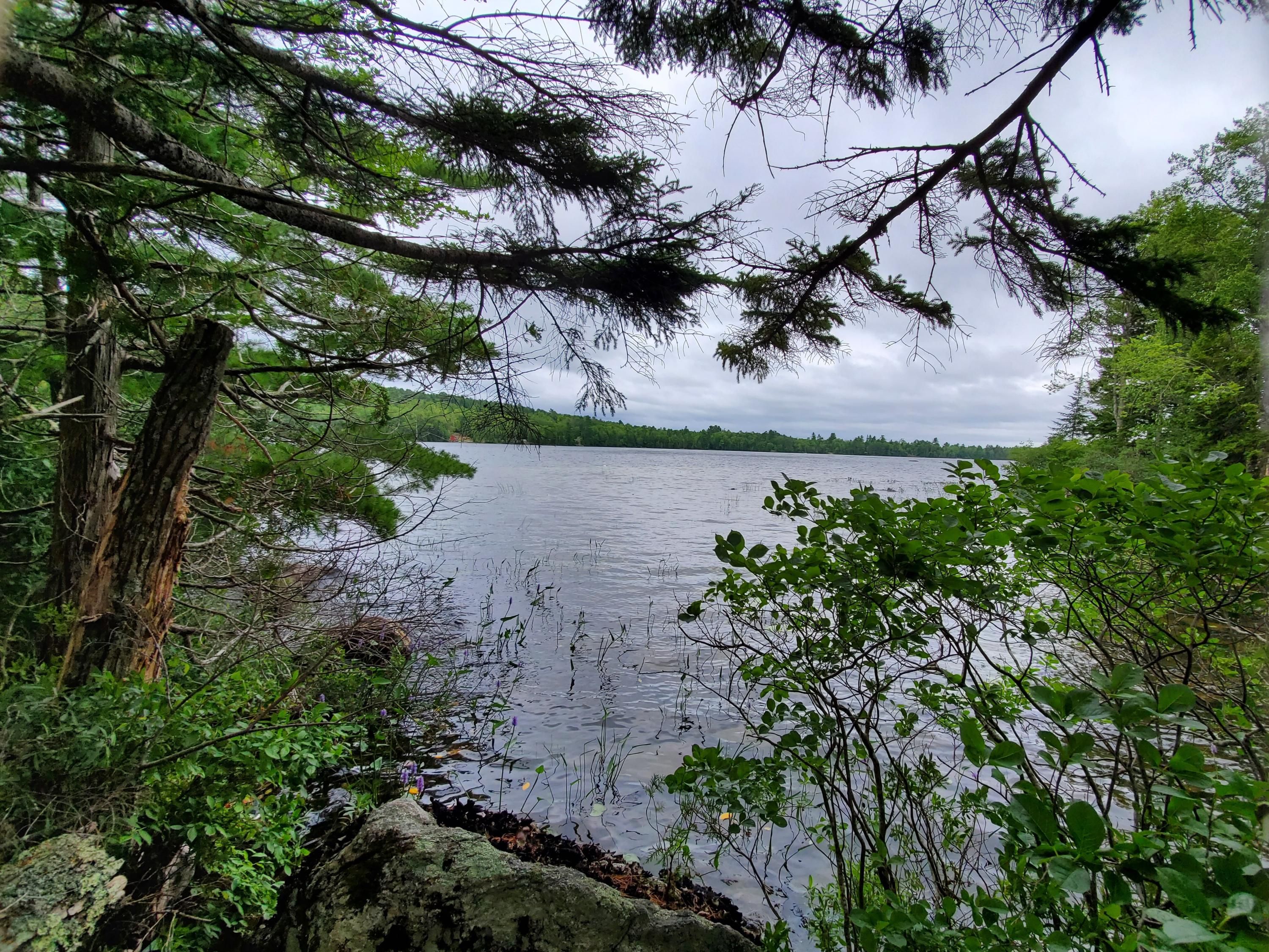 Bucksport, Hancock County, ME Undeveloped Land, Lakefront Property
