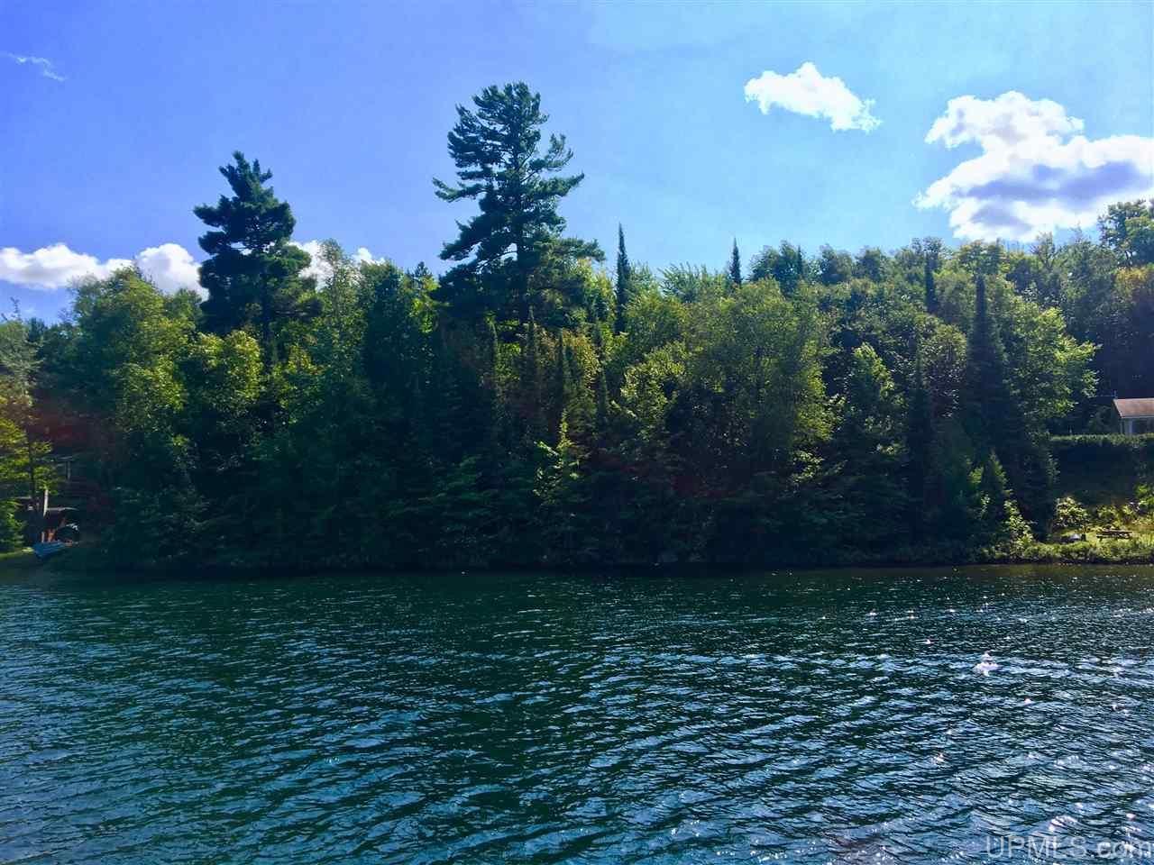 Michigamme, Marquette County, MI Undeveloped Land, Lakefront Property