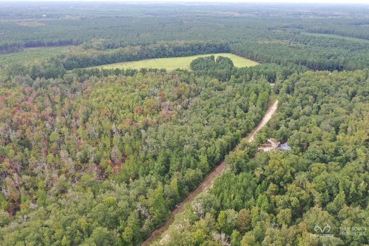 Fairfax, Allendale County, SC Recreational Property, Timberland