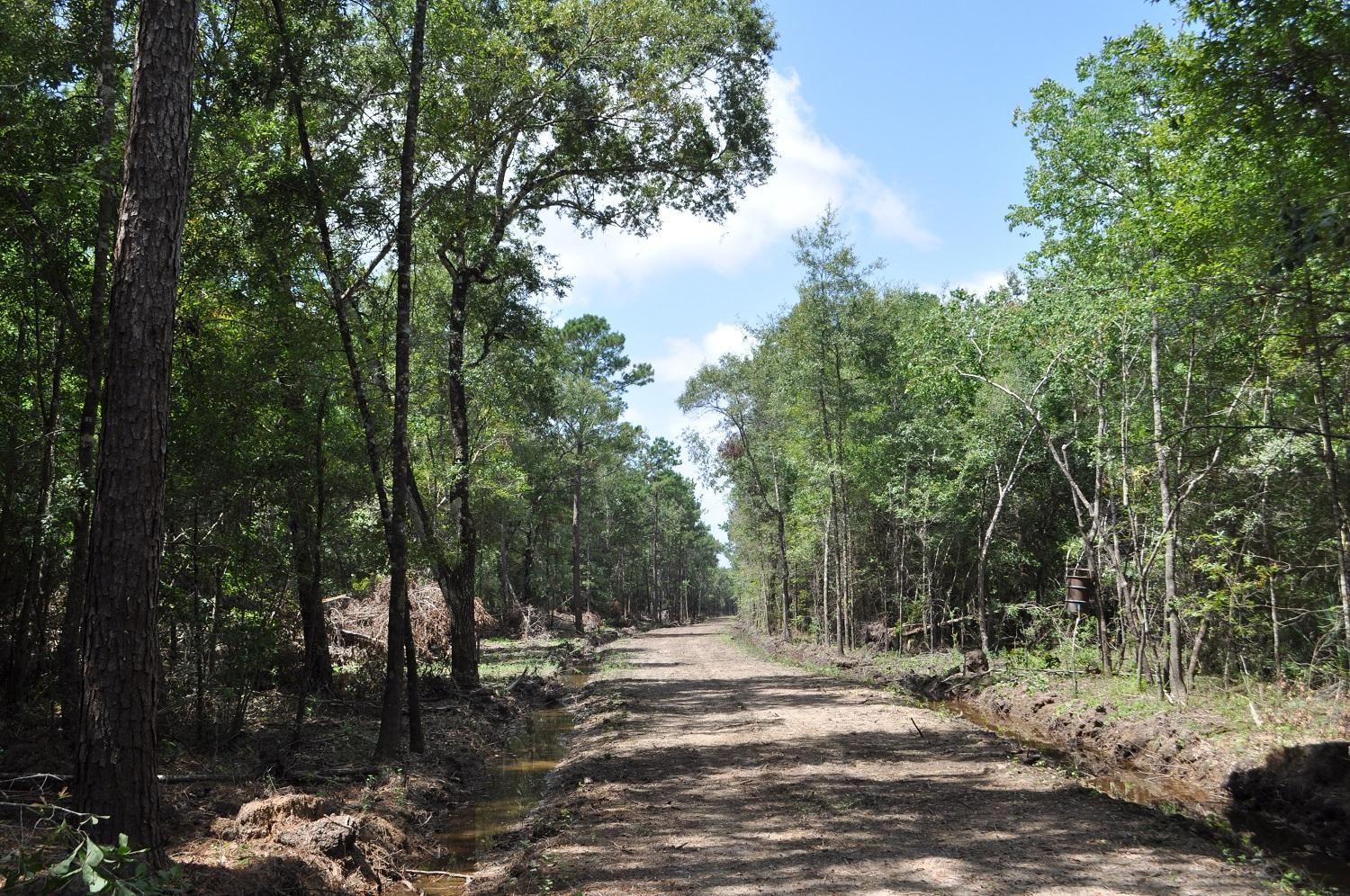 Batson, Hardin County, TX Farms and Ranches, Timberland Property