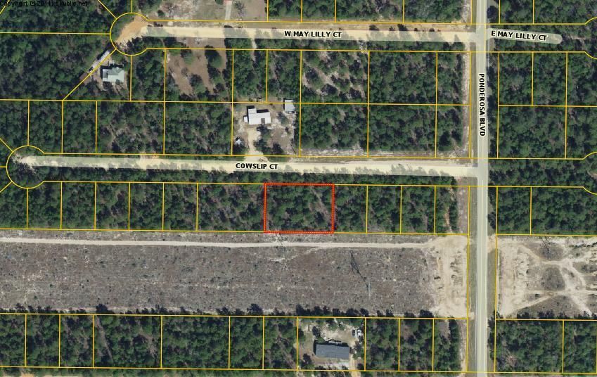 Defuniak Springs, Walton County, FL Undeveloped Land, Homesites for