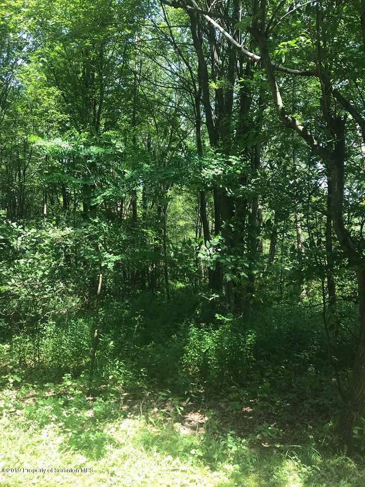 Old Lackawanna County, PA Undeveloped Land, Lakefront Property, Waterfront Property