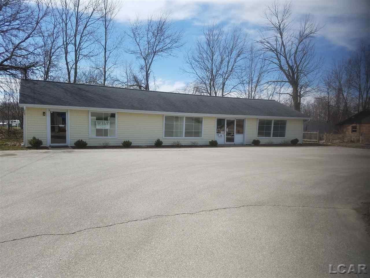 Manitou Beach, Lenawee County, MI Commercial Property, House for sale