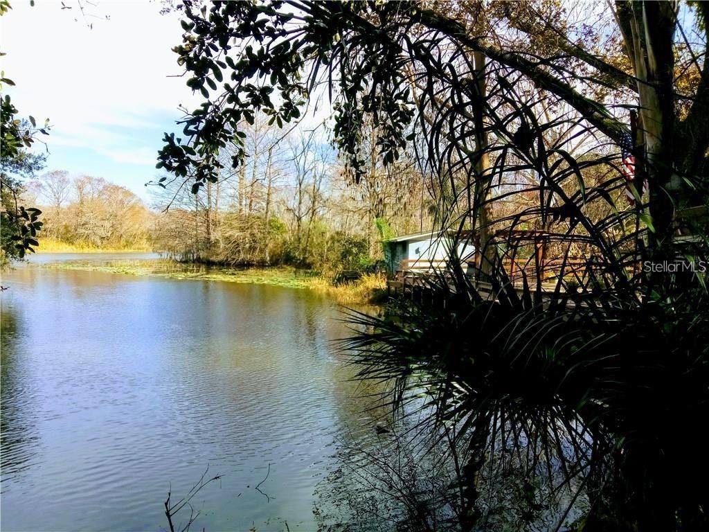 Leesburg, Lake County, FL Undeveloped Land, Lakefront Property