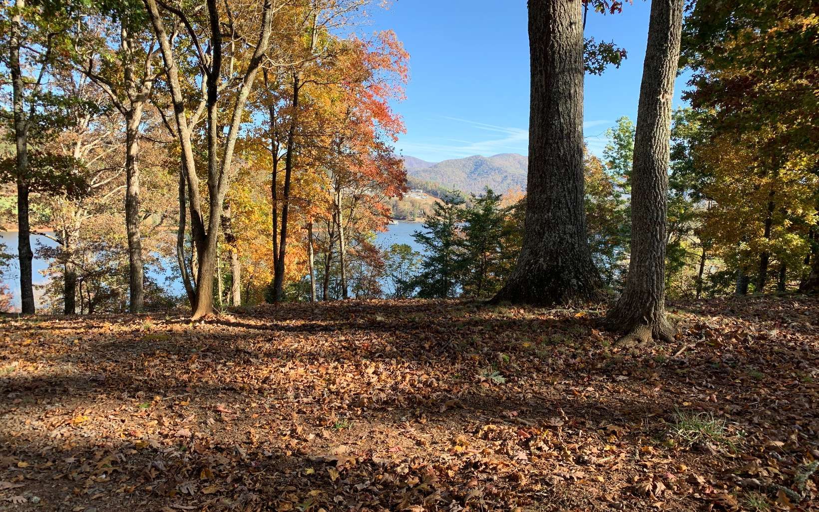 Hiawassee, Towns County, GA Undeveloped Land, Homesites for sale