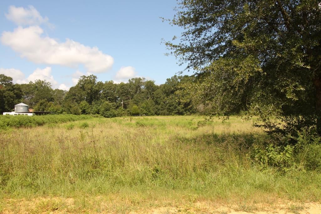 Cottonton, Russell County, AL Undeveloped Land, Homesites for sale